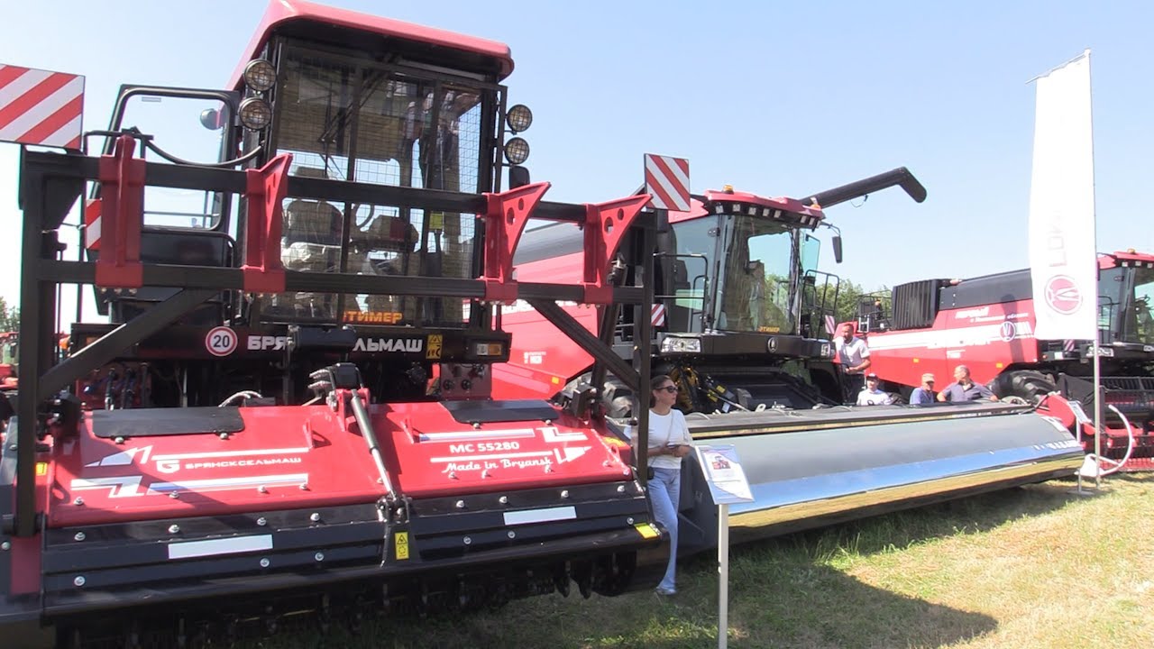 Мини-день Поля